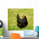 hen Wall Mural