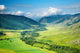 Green Valley Wall Decal