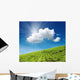 Tea Plantation Wall Decal