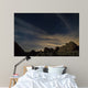 Landscape Joshua Tree National Wall Decal