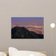 Los Angeles downtown view from top, Mt. Wilson Wall Mural