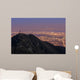 Los Angeles downtown view from top, Mt. Wilson Wall Mural