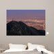 Los Angeles downtown view from top, Mt. Wilson Wall Mural