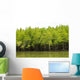 Mangrove Forest Wall Decal