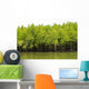 Mangrove Forest Wall Decal
