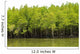 Mangrove Forest Wall Decal