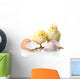 Newborn Chickens with Eggs Wall Decal