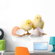 Newborn Chickens with Eggs Wall Decal