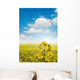 Canola Fields Wall Decal