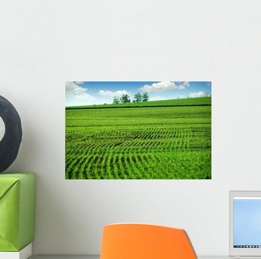 Green Farm Field Wall Decal