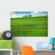 Green Farm Field Wall Decal