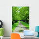 Green Tree Lane Wall Decal