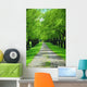 Green Tree Lane Wall Decal