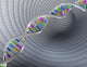 DNA Test and Research Wall Decal