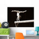 Gymnast Wall Decal