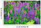 Lupin Foxglove Flowers Wall Decal