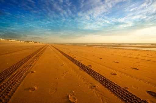 Tracks Beach Wall Decal