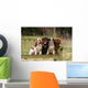 Four Cavalier King Charles Wall Decal