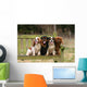 Four Cavalier King Charles Wall Decal