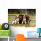 Four Cavalier King Charles Wall Decal