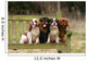 Four Cavalier King Charles Wall Decal