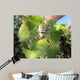 Spider Wall Decal