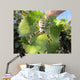 Spider Wall Decal