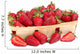 Strawberries Basket Wall Decal
