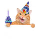 Birthday Cat Wall Decal