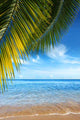 Tropical Beach Wall Decal