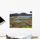 Landscape Rice Paddies Madagascar Wall Decal