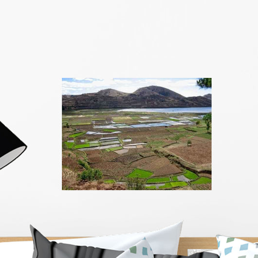 Landscape Rice Paddies Madagascar Wall Decal