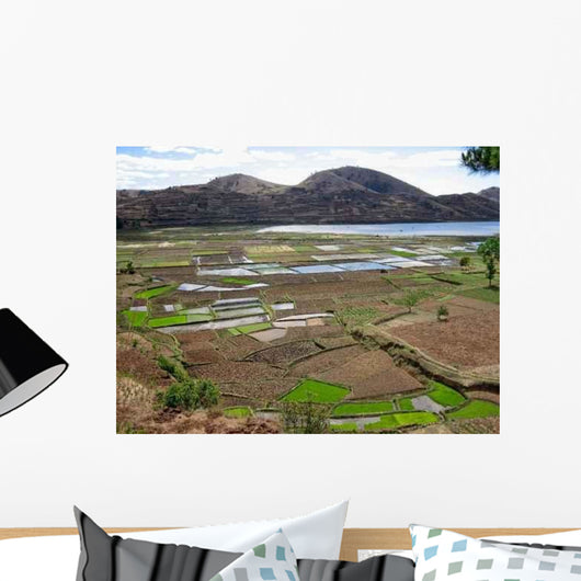 Landscape Rice Paddies Madagascar Wall Decal