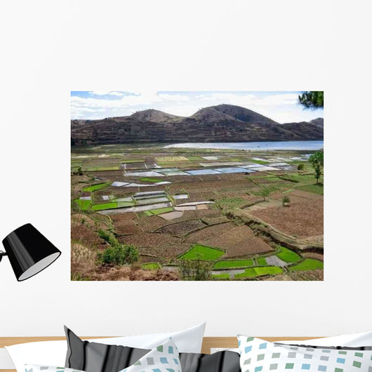 Landscape Rice Paddies Madagascar Wall Decal
