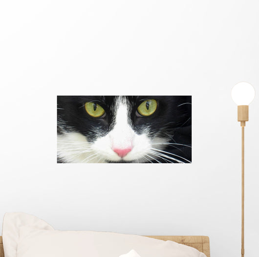 Eye Cat Wall Decal