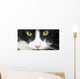 Eye Cat Wall Decal