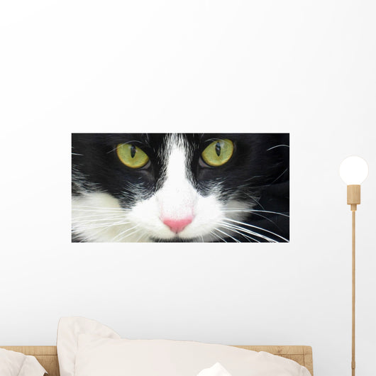 Eye Cat Wall Decal