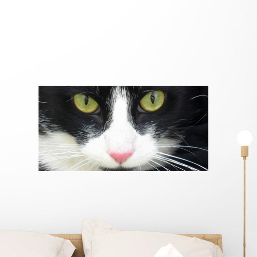 Eye Cat Wall Decal