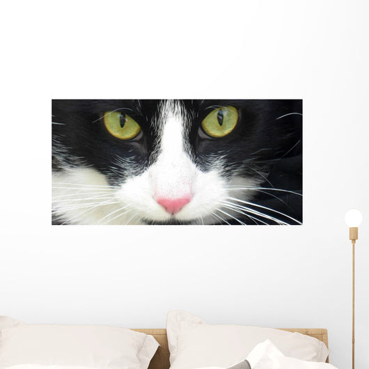 Eye Cat Wall Decal