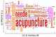 Acupuncture Word Cloud Wall Decal