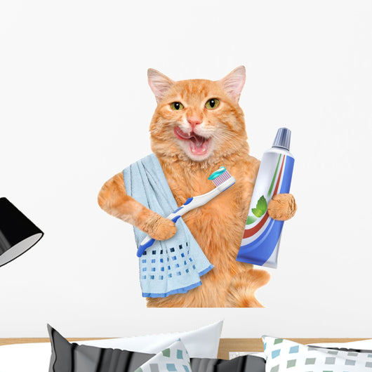 Brushing teeth cat. Wall Decal