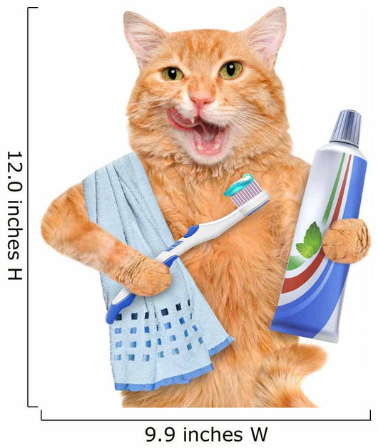 Brushing teeth cat. Wall Decal