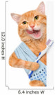 Brushing teeth cat. 
