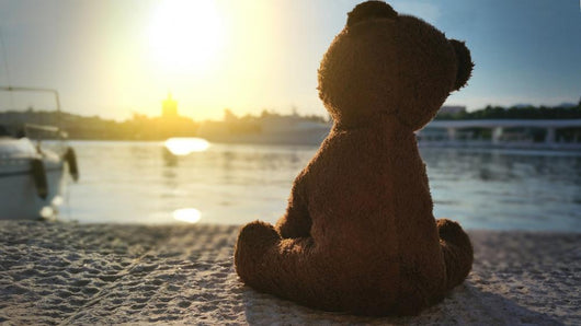 Teddy Bear Pier Wall Decal