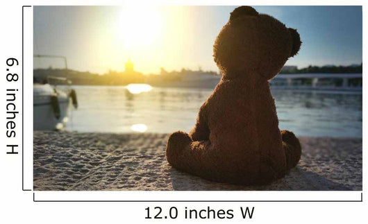 Teddy Bear Pier Wall Decal