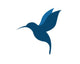 Hummingbird Wall Decal