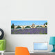 Pont D'avignon Wall Decal