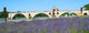 Pont D'avignon Wall Decal