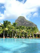 Morne Piscine Wall Decal