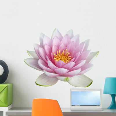 Pink Open Lotus Flower Wall Decal shown on a wall